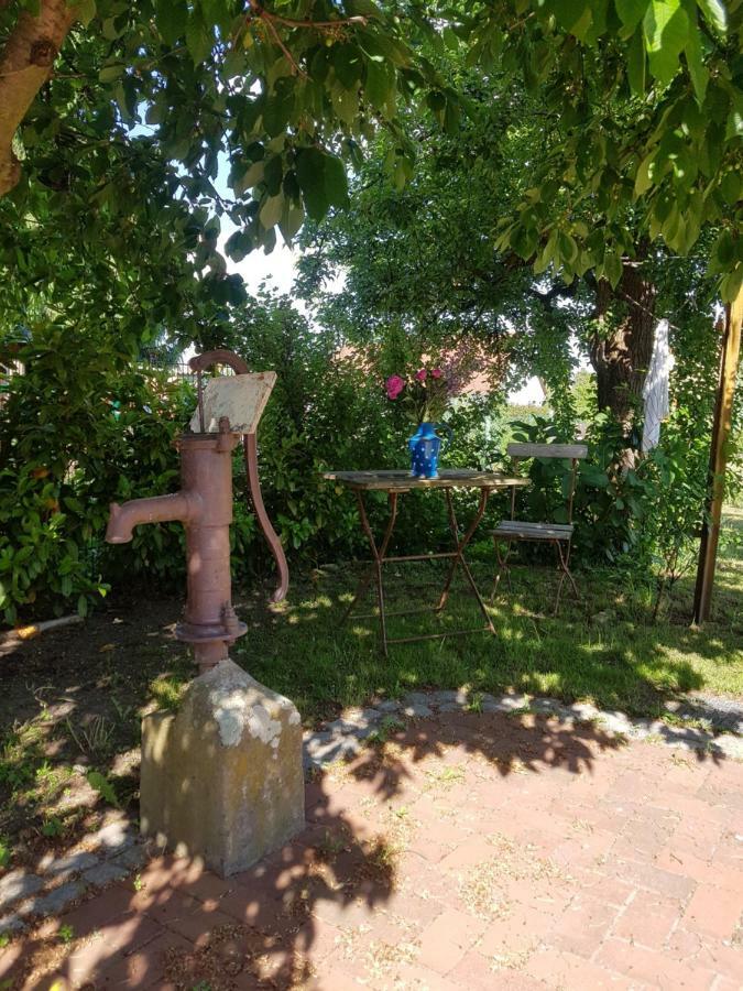 Ferienidyll-Reitwein Villa Luaran gambar